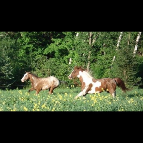 Meet your Posher, Trisha - Picture 3 of 15